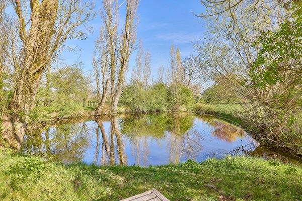 28 Teich im Park.jpg