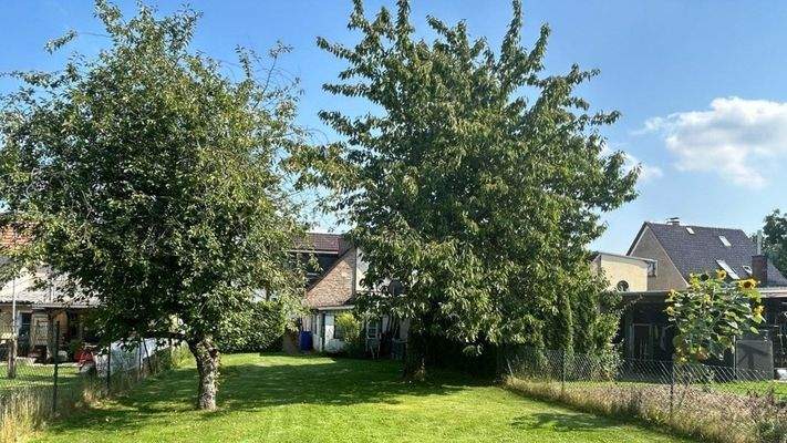 alter Obstbaumbestand