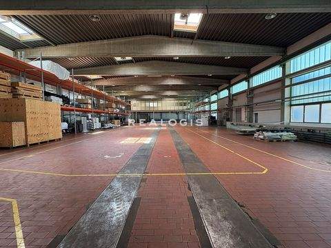 Deißlingen Halle, Deißlingen Hallenfläche