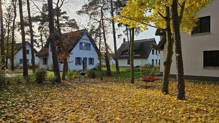 Fischerdorf Impression 2.jpg