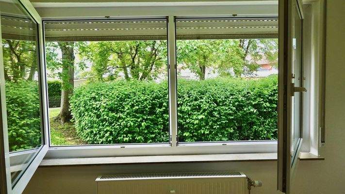 Ausblick aus Wohnzimmer