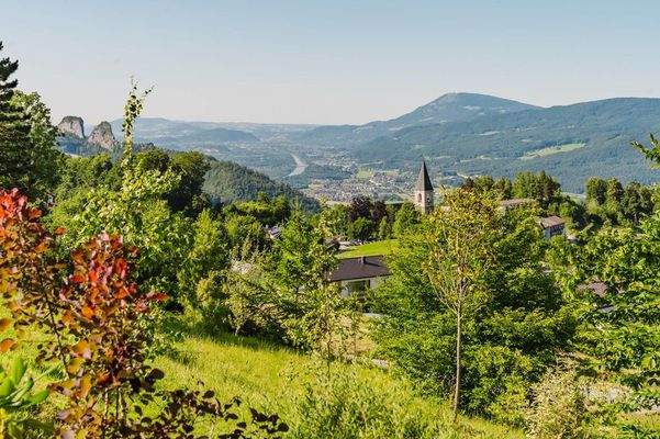 Das eindrucksvolle Panorama