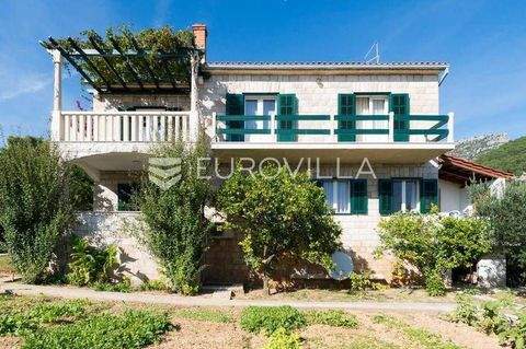 Bol Häuser, Bol Haus kaufen