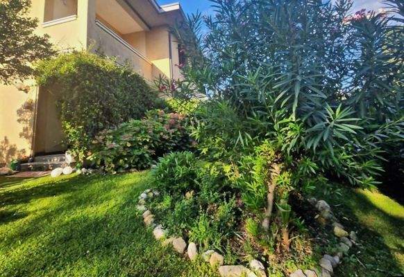 Schermata 2024-11-25 alle 16.59.14.jpg