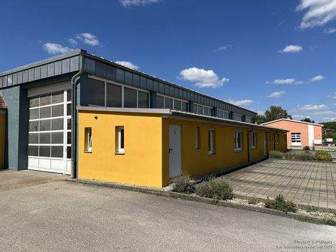 Allersberg Halle, Allersberg Hallenfläche