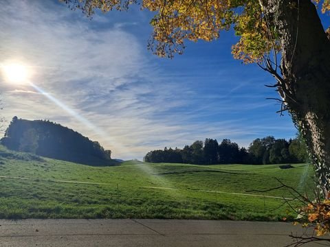 Samerberg / Obereck Bauernhöfe, Landwirtschaft, Samerberg / Obereck Forstwirtschaft