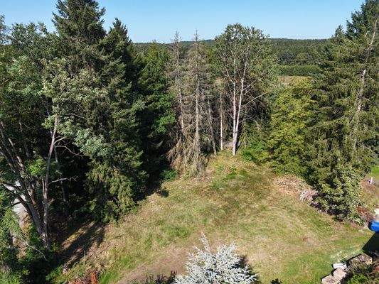 naturnahe und ruhige Lage