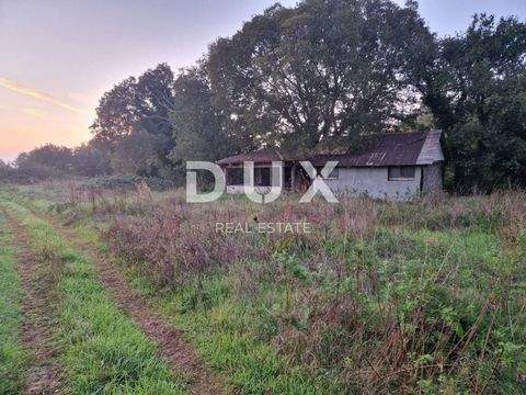 Luka Häuser, Luka Haus kaufen