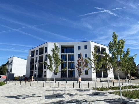 Offenbach am Main Wohnungen, Offenbach am Main Wohnung mieten