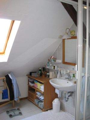 Dusche in der Loftwohnung!