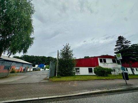 Neumünster Halle, Neumünster Hallenfläche