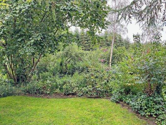 Busch und Heckenbepflanzung