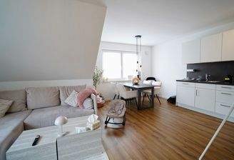 Wohn- und Esszimmer mit offener Küche