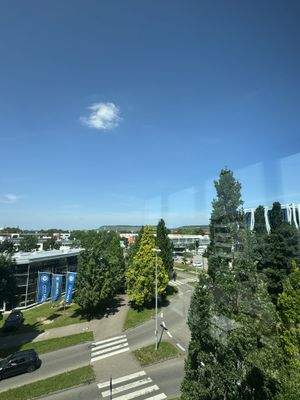 Ausblick + Umgebung