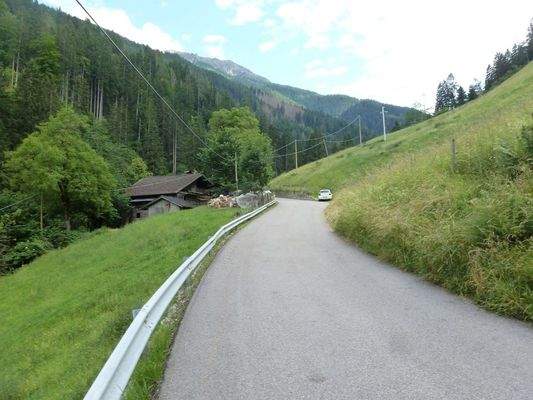 Hof-Sankt Pankraz-maso-val d'ultimo-Ultental-Wald-Wiese