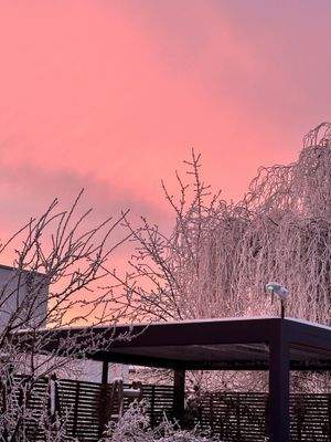 Trier-Kürenz-Petrisberg