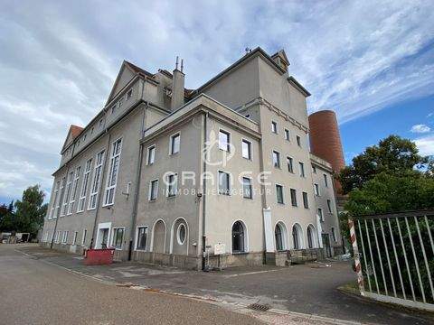 Regensburg Halle, Regensburg Hallenfläche