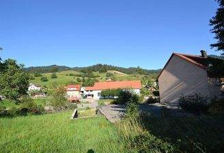 Mit dem Blick ins Grüne den Tag beginnen