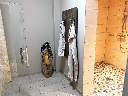 Wellness & Sauna (4)