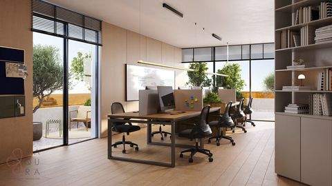 Paralimni Wohnungen, Paralimni Wohnung kaufen