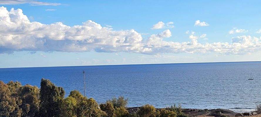 WhatsApp Image 2025-03-07 at 09.26.34.jpeg