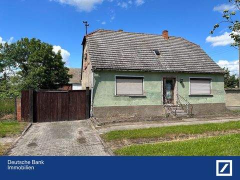 Zeddenick Häuser, Zeddenick Haus kaufen