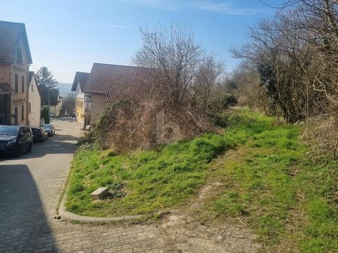 Alzey Grundstücke, Alzey Grundstück kaufen