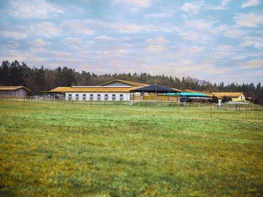 Blick auf Reitanlage V14177