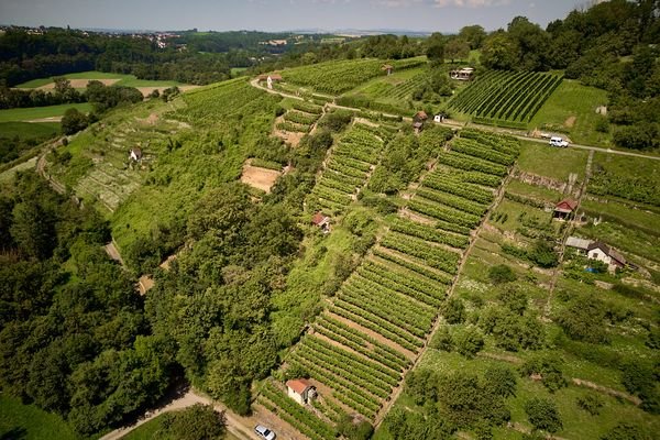 Wochenendgrundstück und Weinberg 1