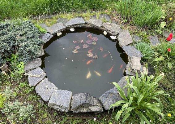 kleiner Teich im Vorgarten