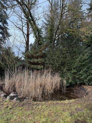 WhatsApp Image 2026-02-23 at 17.48.31 (5)