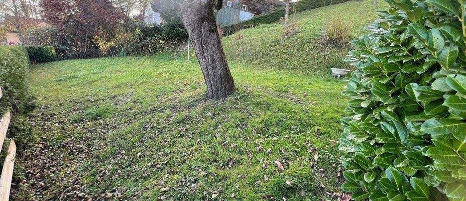 Blick vom Norden Richtung Süden