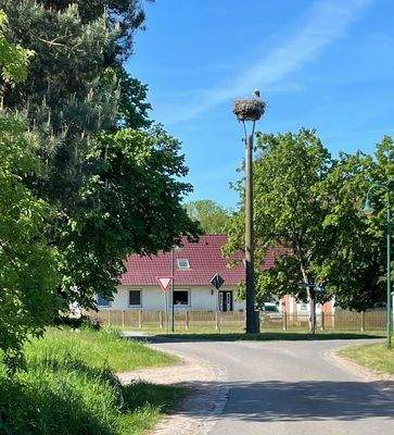 Wohnen am Storchennest.jpeg