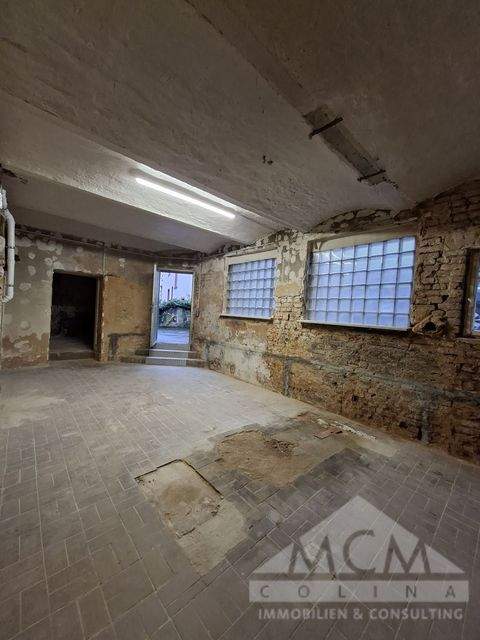 Frankfurt am Main Halle, Frankfurt am Main Hallenfläche