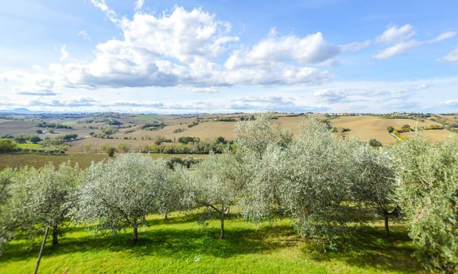 farmhouse-marche-jesi-italy-019.jpeg