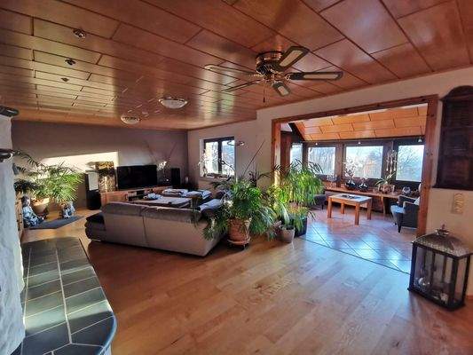 Wohnzimmer-Wintergarten