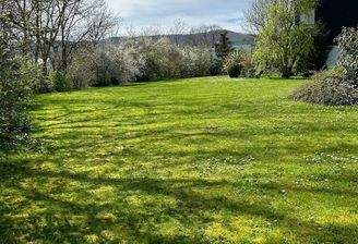 Gemeinschaftsgarten mit Herkulesblick