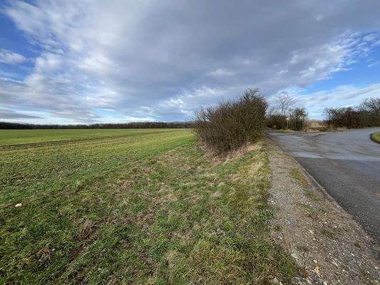 Landwirtschaftsfläche_5