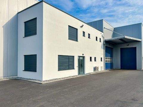 Ohorn Halle, Ohorn Hallenfläche