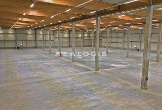 Beispielansicht Hallenfläche