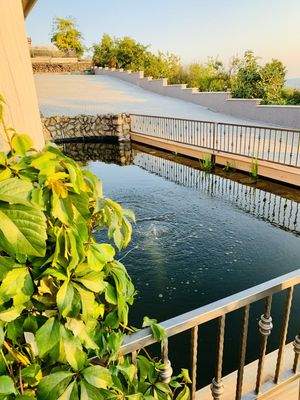 p62480433 másolata.jpg