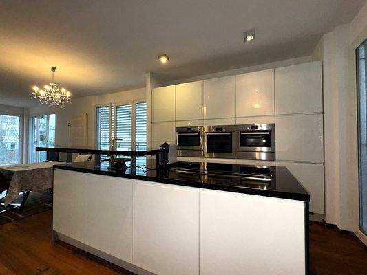 Built-in kitchen with electric appliances 