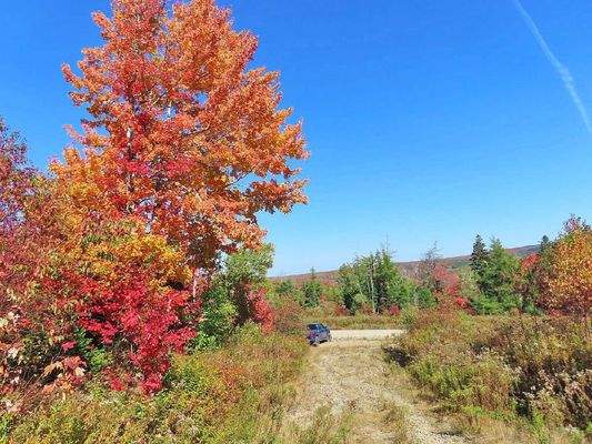 Nova Scotia - West Side Country Harbour - 52-Hekta