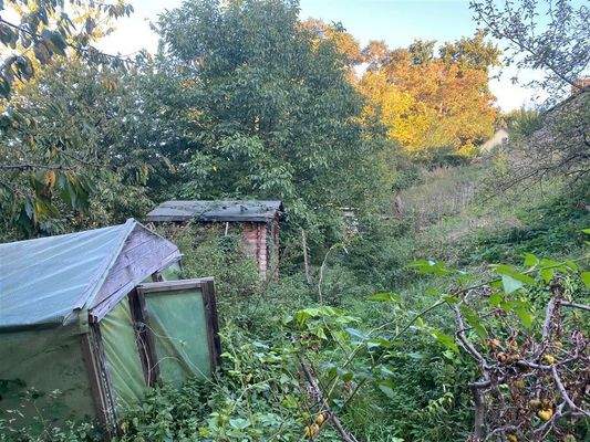 Blick auf hinteres Grundstück