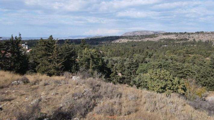 Kreta, Sellia im Apokoronos: Grundstück zum Verkauf mit schöner Aussicht in Sellia