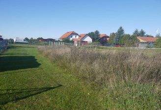 Bild1