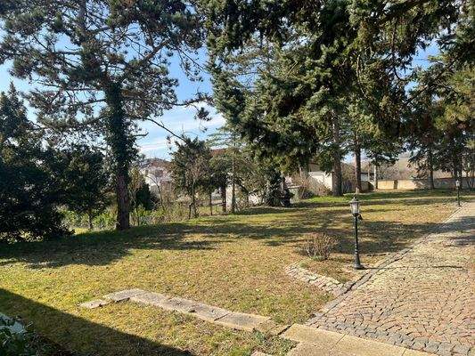 Blick aufs Grundstück