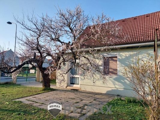 3 Terrasse