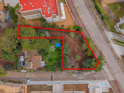 SON SERVERA Grundstücke, SON SERVERA Grundstück kaufen