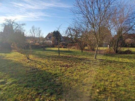 Blick auf das Grundstück